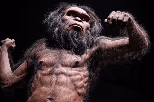 Tin nóng KHCN 8/6: Hé lộ điện thoại gập 3 của Samsung, loài người từng suýt tuyệt chủng