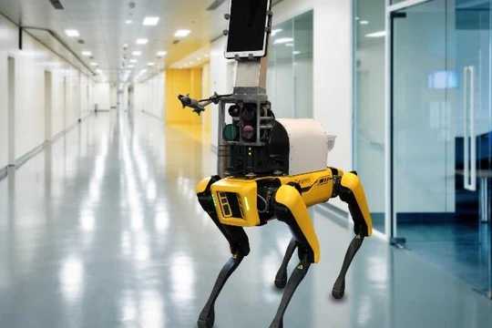 Chú chó robot này đang được nghiên cứu để đưa vào các bệnh viện khám cho bệnh nhân Covid-19 (ảnh: CNN)