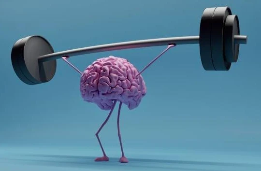 Vitamin nhóm B và một số loại thực phẩm như sữa chua, trứng sẽ tốt cho não bộ của bạn