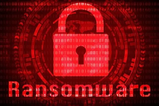 Nhiều doanh nghiệp sử dụng các phần mềm chống virus miễn phí, nên hiệu quả bảo vệ không cao trước các vụ tấn công của virus, mã độc tống tiền