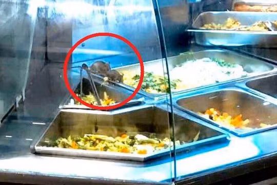 Chuột bò vào khay thức ăn ở Aeon Mall Tân Phú (ảnh: T.T.B)