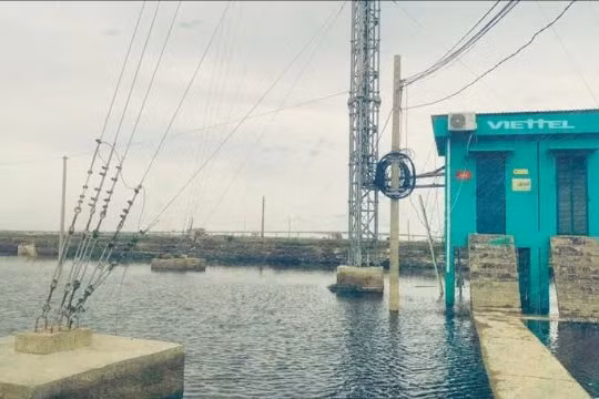 Thực hư thông tin Viettel miễn phí mạng di động cho người dân bị ảnh hưởng bởi bão số 3