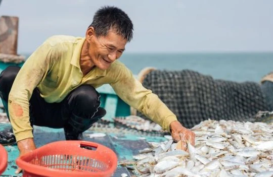 Thương mại điện tử là chìa khóa giúp người làm nông nghiệp và nghề cá tiêu thụ được nông sản và hải sản