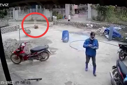 Ảnh cắt từ clip