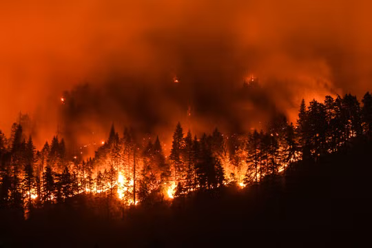 Nhiệt độ cao gây ra các đám cháy rừng ở California, Hoa Kỳ (ảnh: The Nature Conservancy)