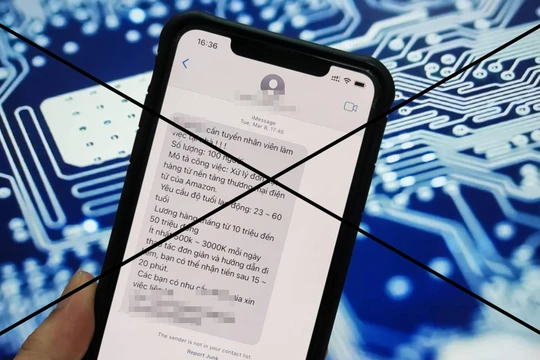 Lừa đảo trực tuyến - Bài 3: Thực trạng Việt Nam so với thế giới