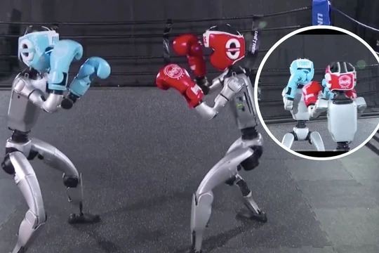 Robot của công ty Unitree Robotics trình diễn kỹ năng quyền anh đối kháng. Ảnh: IE