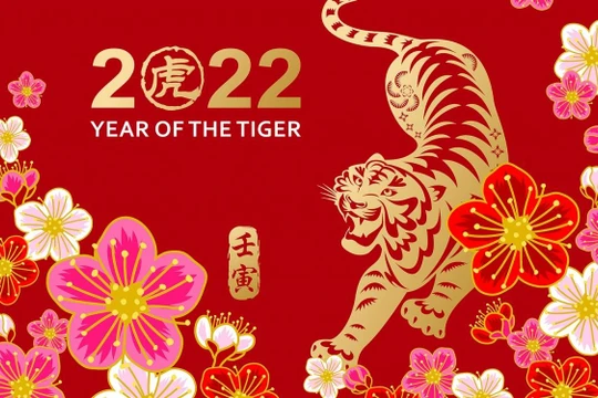 người tuổi Hổ nóng tính nhưng can đảm, mạnh mẽ