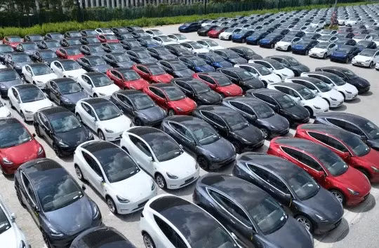 Các dòng xe Tesla đang chờ để đưa lên tàu tại cảng Nangang vào ngày 6 tháng 9 năm 2023 tại Thượng Hải, Trung Quốc (ảnh Getty Images)