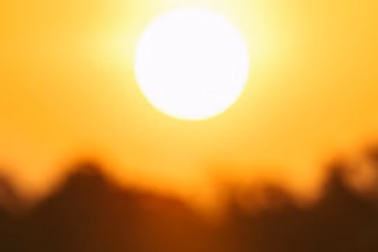 Ảnh minh họa: BGR