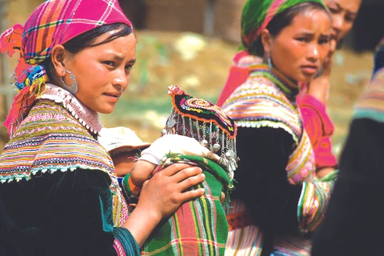 Nghiên cứu cho thấy, những khảo cứu trước đây chỉ tập trung vào hệ gene của người Kinh sẽ không thấy hết được tính đa dạng di truyền. Ảnh: Người Hmông ở Bắc Hà. Nguồn: Ngân hàng Thế giới