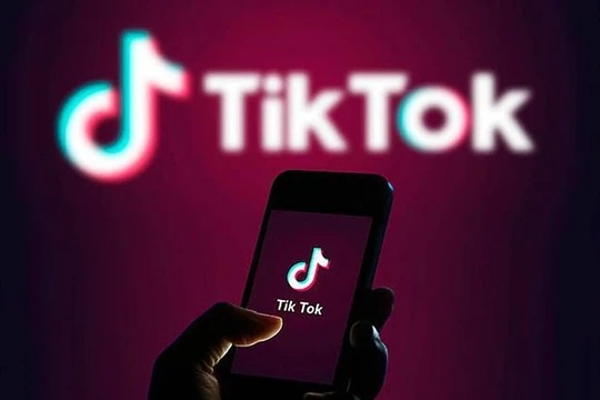 Lừa đảo mạo danh TikTok