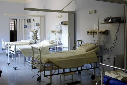 Nga đã phát hiện bệnh nhân mang trong mình tới 18 biến thể Covid-19 (ảnh minh hoạ: Pixabay)