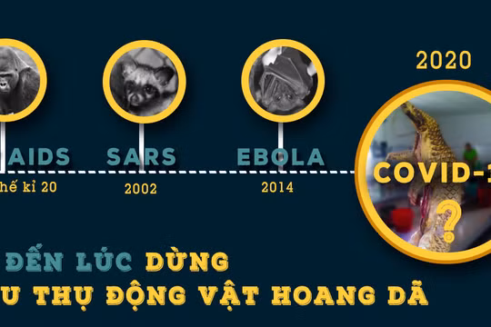 Nhiều dịch bệnh có nguồn gốc từ động vật hoang dã (ảnh: ENV)