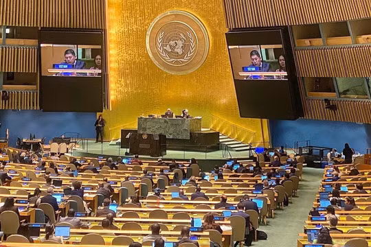 Đại diện phái đoàn Việt Nam phát biểu tại Liên hợp quốc về Công ước chống tội phạm mạng. Ảnh: TTXVN
