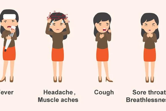Các triệu chứng khi nhiễm Covid-19 (ảnh: bệnh viện Mount Elizabeth)