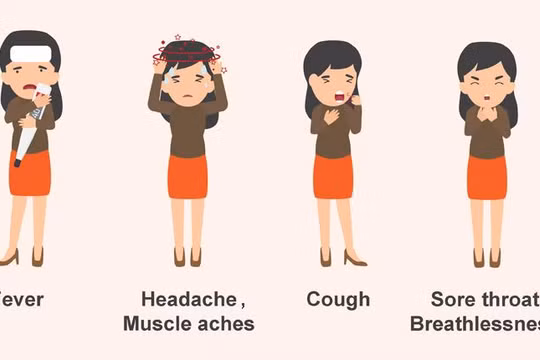 Các triệu chứng khi nhiễm Covid-19 (ảnh: bệnh viện Mount Elizabeth)
