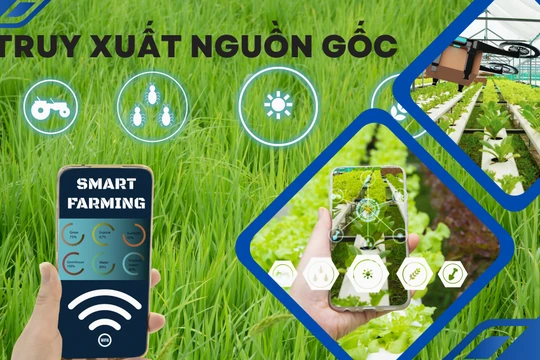 Làm sao để ăn sạch, uống ngon, dùng hàng chính hãng? Bài 2- Thực tiễn truy xuất nguồn gốc ở Mỹ và EU
