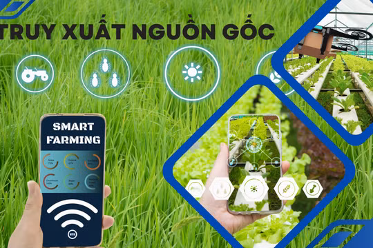 Làm sao để ăn sạch, uống ngon, dùng hàng chính hãng? Bài 2- Thực tiễn truy xuất nguồn gốc ở Mỹ và EU