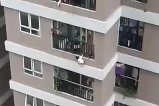 Video bé gái rơi từ tầng 12