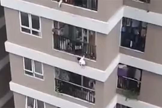 Video bé gái rơi từ tầng 12