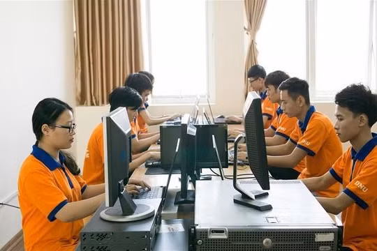 Sinh viên Đại học Đại Nam trong giờ thực hành CNTT
