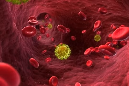 Virus HIV trong máu bệnh nhân.