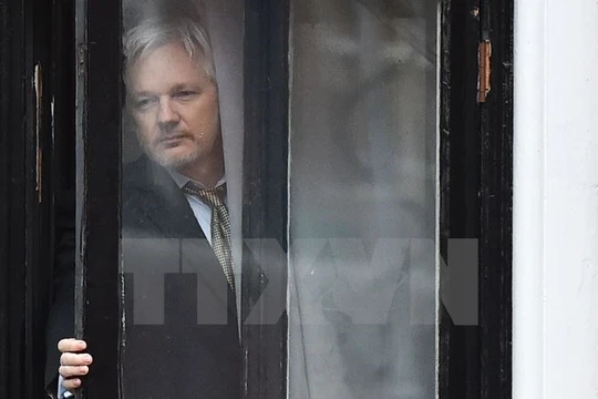Ông Julian Assange tại Đại sứ quán Ecuador ở London, Anh ngày 5/2/2016. (Nguồn: AFP/TTXVN)