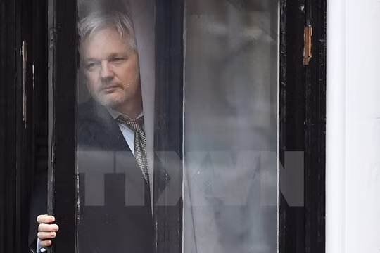 Ông Julian Assange tại Đại sứ quán Ecuador ở London, Anh ngày 5/2/2016. (Nguồn: AFP/TTXVN)