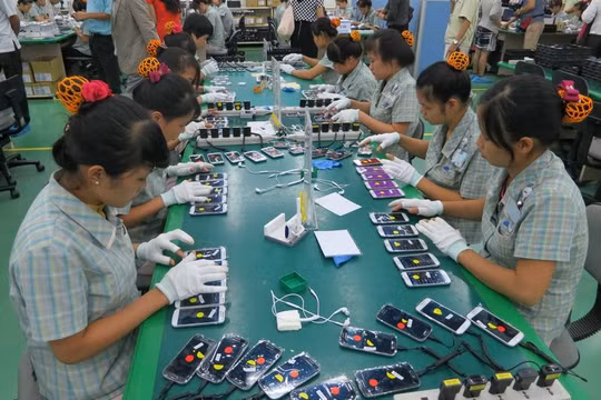 Tổng số nhân lực trong ngành Công nghiệp CNTT trên 600.000 người.