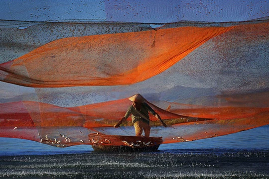 Một trong số những bức ảnh đoạt giải của cuộc thi năm nay.