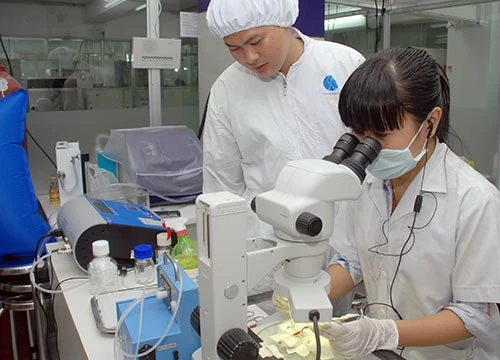 ​Các hoạt động thúc đẩy phát triển hệ sinh thái khởi nghiệp diễn ra rất sôi động.