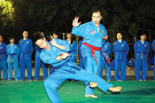 Võ sư Lê Hải Bình trên sàn tập võ Vovinam 