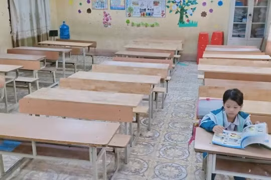 Lớp học chỉ có duy nhất một học sinh 