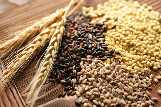 Sử dụng ngũ cốc thường xuyên có thể đem lại lợi ích tuyệt vời cho sức khỏe. 