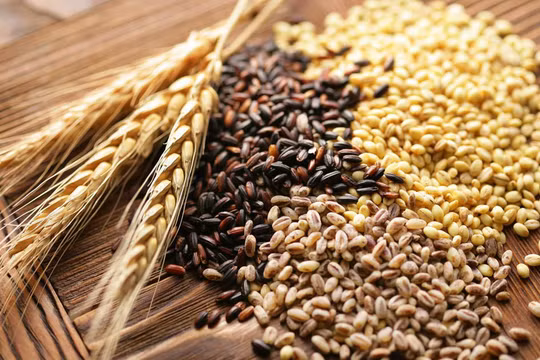 Sử dụng ngũ cốc thường xuyên có thể đem lại lợi ích tuyệt vời cho sức khỏe. 