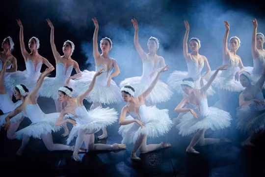 Vở vũ kịch "Hồ Thiên nga"