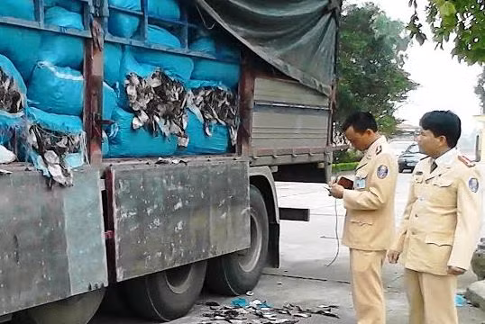 Lực lượng công an tiến hành kiểm tra xe tải và phát hiện lô hàng 20,4 tấn mực khô bốc mùi hôi thối.