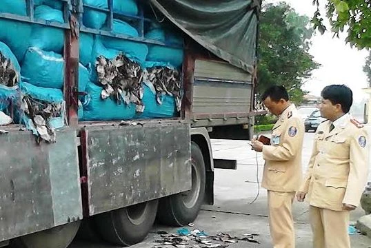 Lực lượng công an tiến hành kiểm tra xe tải và phát hiện lô hàng 20,4 tấn mực khô bốc mùi hôi thối.