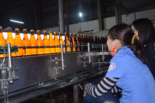 Hệ thống kiểm tra chất lượng sản phẩm tại CTCP Bia Hà Nội - Quảng Bình. (Ảnh: SCT Quảng Bình)