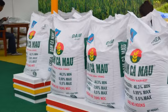 Ảnh minh họa. (Nguồn: Internet)