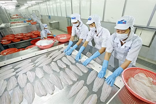 “Vua cá tra” HVG lĩnh án phạt nặng từ UBCKNN. (Ảnh: Internet)