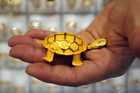 Ảnh minh họa. (Nguồn: Internet)