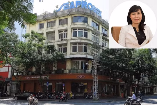 Tân Thành viên HĐQT SSN, bà Đỗ Thị Hồng đã gắn bó với Seaprodex Saigon từ ngày đầu thành lập. (Ảnh: Internet)