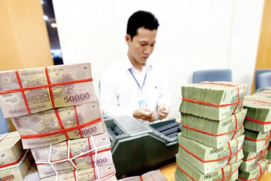 Ảnh minh họa. (Nguồn: Internet)