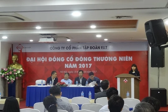 Nhiều cổ đông đã chất vấn về việc F.I.T từng sáng lập nên Dũng Tâm. (Ảnh: baodautu.vn)