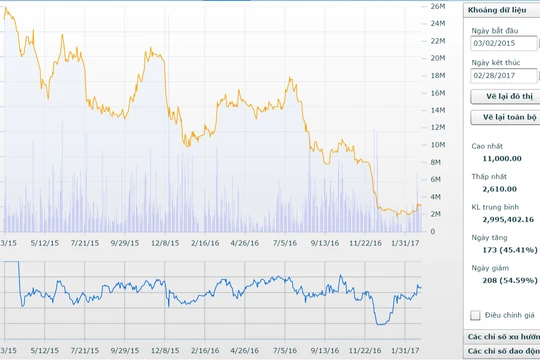 Đồ thị buồn về diễn biến cổ phiếu DLG thời gian qua. (SSI)