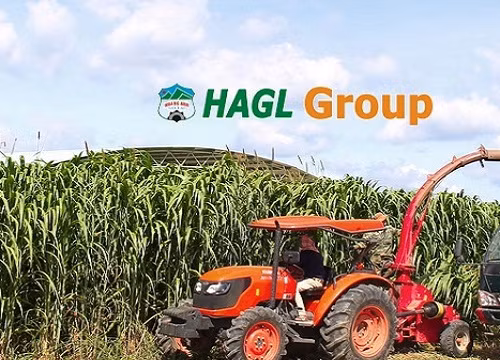 Vốn điều lệ HNG lại sắp tăng thêm 1.500 tỷ đồng: Phát hành cho ai? (Ảnh: Internet)