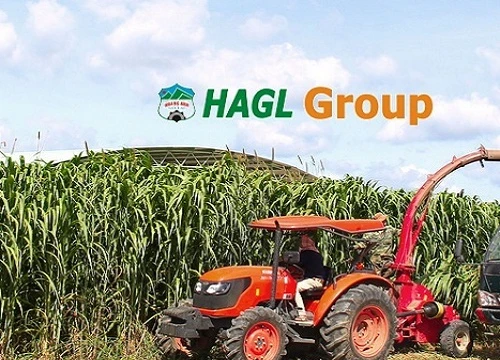 Vốn điều lệ HNG lại sắp tăng thêm 1.500 tỷ đồng: Phát hành cho ai? (Ảnh: Internet)