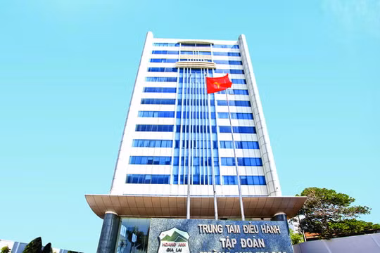 HAG thay đổi đăng ký kinh doanh lần thứ 29: VĐL tăng thêm 1.375 tỷ đồng. (Ảnh: HAG)